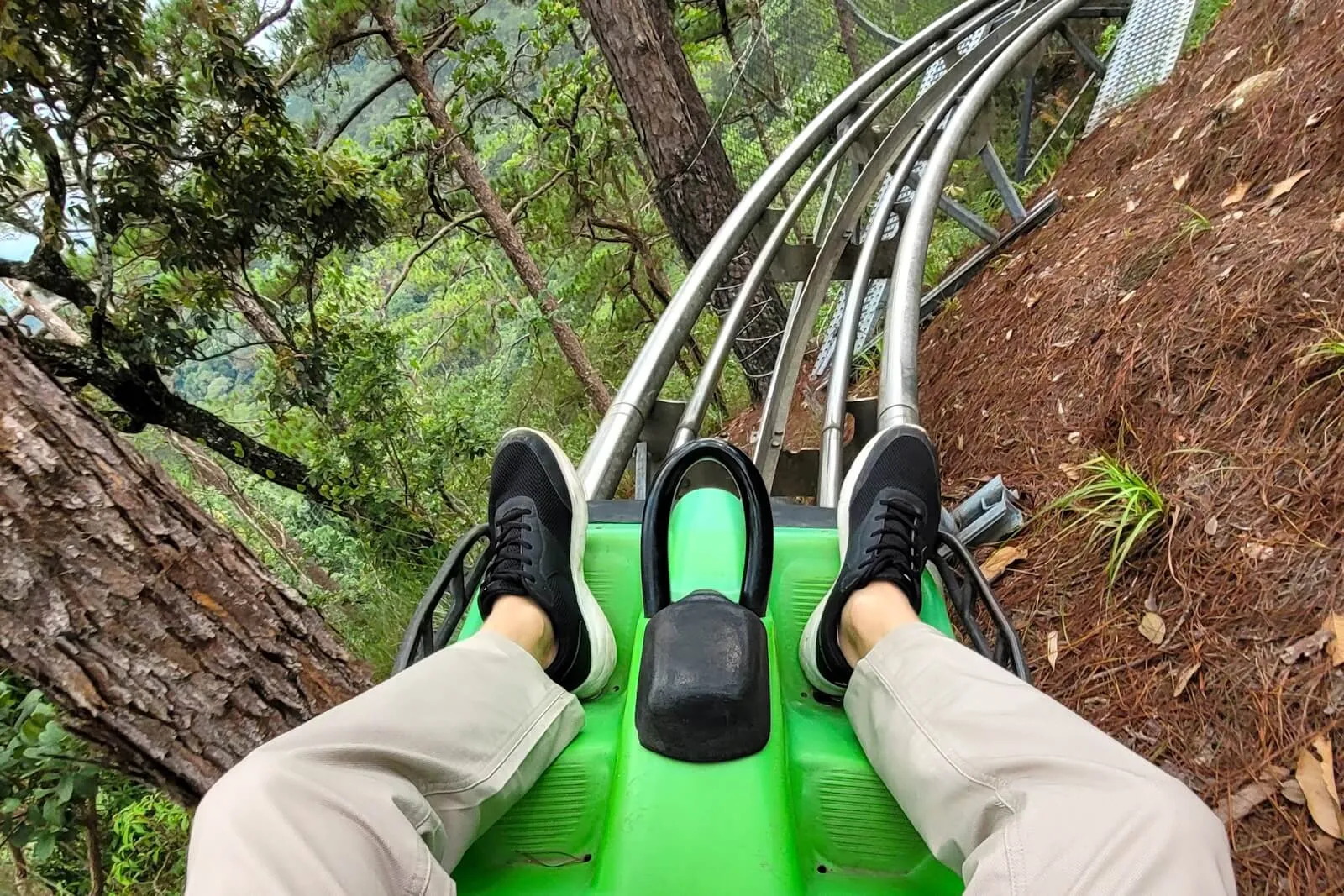 A rider's view from a green Datanla Alpine Coaster car, feet either side of the brake lever, the track curving down through pine forest